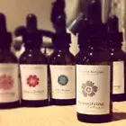 DETOXIFYING Facial Oil ~ Anti-Oxtidants w Silver Tip White Tea,Grapes{Botanical}
