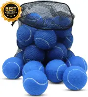 Tennis Balls 20 Pack for Dogs, Colorful Pet Balls with Mesh Bag for Transport