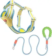 Dog Harness and Leash Set - Lightweight Air-Permeable Color Block Pet Vest for Small to Medium Dogs Outdoor Walking(Yellow,M)