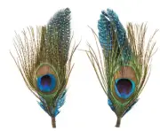 Fancy Feathers Natural Peacock & Guinea Feather Pick With Loop Crafting New