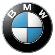 Genuine BMW Inner Right Window Channel C C513221 51-32-8-194-732