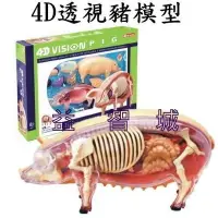 在飛比找Yahoo!奇摩拍賣優惠-益智城《4D豬模型/動物模型/教學模型/生物教具玩具/DIY