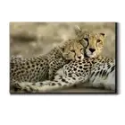 Landscape Wall Art Gallery Wrapped Canvas Ocean Beach Animal Picture Modern A...