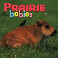 在飛比找誠品線上優惠-Prairie Babies