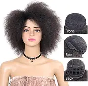 Synthetic Short Kinky Straight Curly Afro Wig Fluffy Wigs for Black Women High Temperature Fiber Lace Front African American Hair Wigs (#1b)