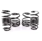Swift SPEC-R Sport Springs - Scion FRS / Subaru BRZ / Toyota 86 13-20