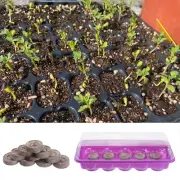 2 Pcs Wheatgrass Grower Tray Bean Sprouts Kit Growing Trays
