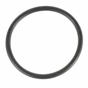 RTS1077 Motorcraft Thermostat Gasket for F250 Truck F350 F450 F-250 Super Duty (for: Ford)
