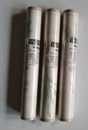 York Botanical Gladiola Bulbs Floral Wallpaper Border Pre-pasted 10" W 3 Rolls