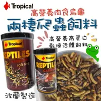 在飛比找樂天市場購物網優惠-Tropical 德比克 高營養肉食烏龜 兩棲爬蟲飼料 肉食