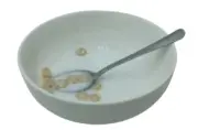 Display Fake Food Prop Finished Bowl Of Cheerios Pop Art