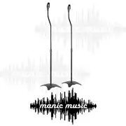 Pair ASHTEC Speaker Stands Rear Home Theatre Surround Sound Satellite Speakers