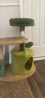 Cat Tree Cactus