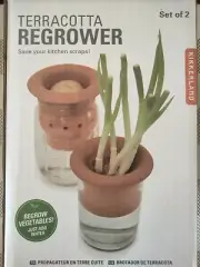 Terracotta Regrower - Regrow Vegetables