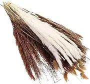 Cabilock 1 Set Dried Flower Bouquet Stems of Natural Decorative Grass Ornaments for Table Decoration for Home Decor Weddings and Photo Props