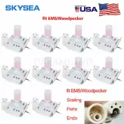 10 Dental Scaler Ultrasonic Endo Perio scaler 2 Bottles 5*Tips Fits EMS Cavitron