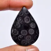 Natural Black Fossil Coral Pear Shape Cabochon Gemstone 41.5 Ct 37X27X6mm A-1029