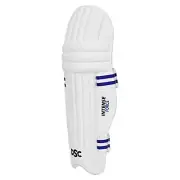 DSC Intense Force Batting Legguard