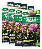 Garden Greens Aphid Glue Trap (Pack of 5)