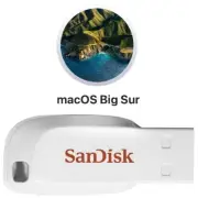 Bootable USB Mac OS X Installer Big Sur in USB Thumbdrive Stick iMac Macbook et1
