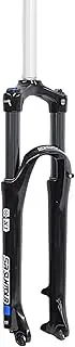 SR SUNTOUR X1-Coil LO DS Suspension Fork, 27.5 Inches, 1-1/8, Black, SF22