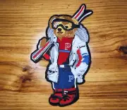 10" chenille iron-on Ski Bear patch. No sewing needed!!!