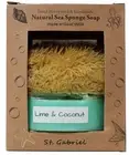 Lime & Coconut Natural Sea Sponge & Goats Milk Soap