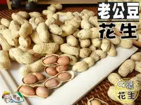 在飛比找樂天市場購物網優惠-【野味食品】鄭美香 老公豆花生(9號花生,帶殼花生,老公仔花