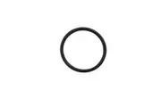 Waterco 50mm Half Barrel Union O Ring