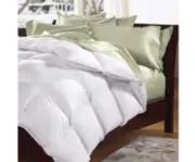 Goose Feather & Down Quilt 500GSM + Goose Feather and Down Pillows 2 Pack Combo