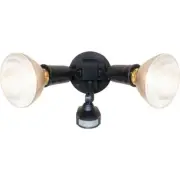 (1)-Halo Black Motion Sensing Dusk To Dawn Incandescent Floodlight Fixture. MS34