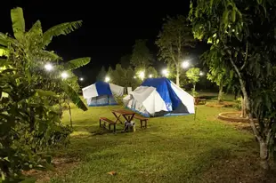 果園豪華帳篷Orchard Luxury Tent