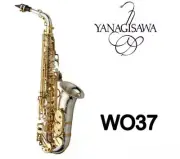 Brand NEW AWO37 Alto Saxophone Silver Plating Gold Key Professional Sax with Box