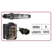 RAE Oxygen Sensor - OX477
