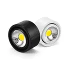 Dimmable/N LED COB Ceiling Light Fixture Adjustable Picture Spotlight Downlight