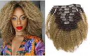(25cm , T4/27 Afro Curly) - 8A Grade Ombre Human Hair Clip in Remy Hair Extensions 25cm - 60cm Black to 4/27 Blonde Strawberry Two Tone 4B 4C Afro Kinky Curly Balayage Natural Hair Clip on (25cm , T4/27 Afro Curly)