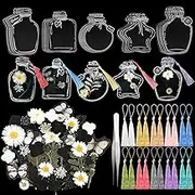 TaoBary 81 Pcs DIY Handmade Transparent Dried Flower Bookmark Set Include Clear Bookmarks Dried Flowers Colorful Tassels and Tweezer for Book Bottle Supplies(Cool Color)