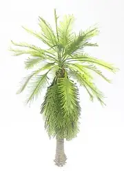 THANAN ASIA AND PACIFIC PALM TREE MODEL 1/72 SCALE APPROX 16CM. HEIGHT. TPS-040