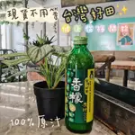 免運中🔥台灣好田✨香檬原汁 300ML 組合優惠🔥