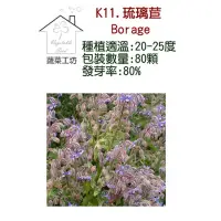 在飛比找momo購物網優惠-【蔬菜工坊】K11.琉璃苣種子