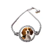 Beagle Dog Pet Silver Colour Bracelet With Diamantes And Gift Box