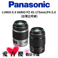 在飛比找蝦皮商城優惠-Panasonic LUMIX G X VARIO PZ 4