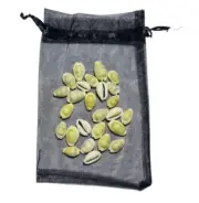 Cowrie Shells Small 1-1.5cm Cowry Sea Shell Divination - 25 Shells