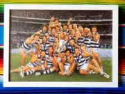 Framed 2007 GEELONG CATS AFL Premiers Poster - 84cm x 59.5cm x 3cm