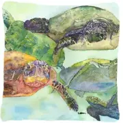 Carolines Treasures 8549PW1414 Turtle Indoor & Outdoor Fabric Decorative Pillow