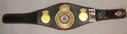 MIKE TYSON Hand Signed WBA Fullsize Belt + JSA COA "BUY GENUINE TYSON '