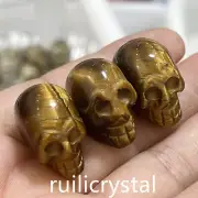1 '' Natural Tiger's Eye Quartz Skull Hand Carved Crystal Healing 3pcs