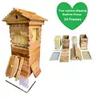 10X Upgraded Auto Honey MINi Beehive Bee hive Frames + Beekeeping Brood Wood Box