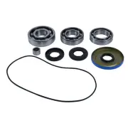All Balls Differential Bearing & Seal Kit 25-2117