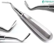 Dental Extraction Root Elevators Apical Right Elevators No.303 Surgical Tools